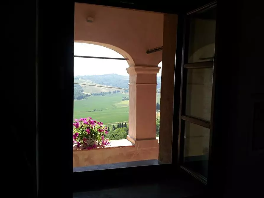 Immagine 4 di Appartamento in affitto  a Peccioli