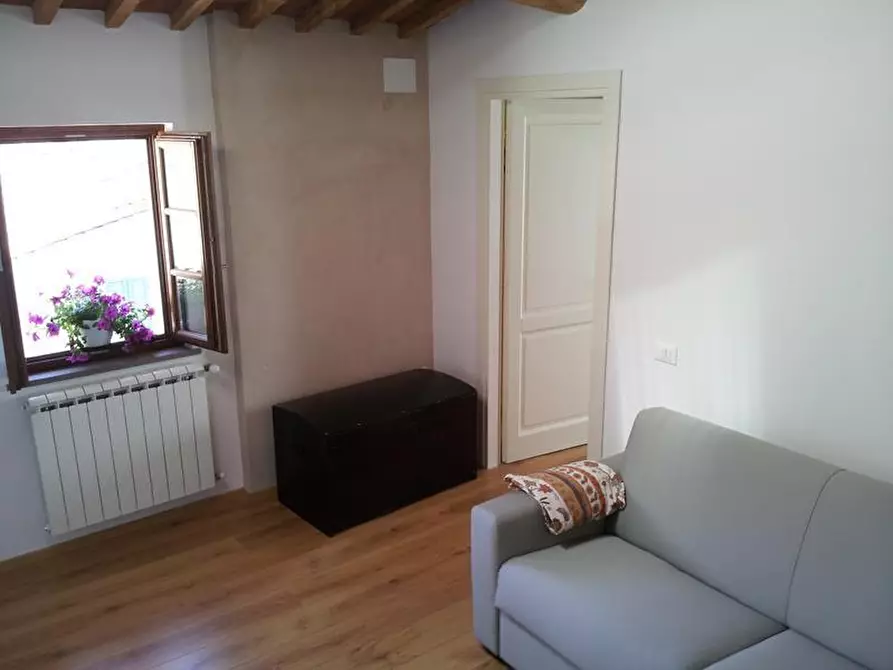 Immagine 26 di Appartamento in affitto  a Peccioli