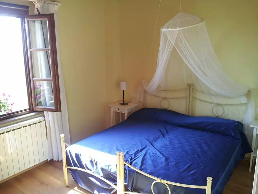 Immagine 34 di Appartamento in affitto  a Peccioli