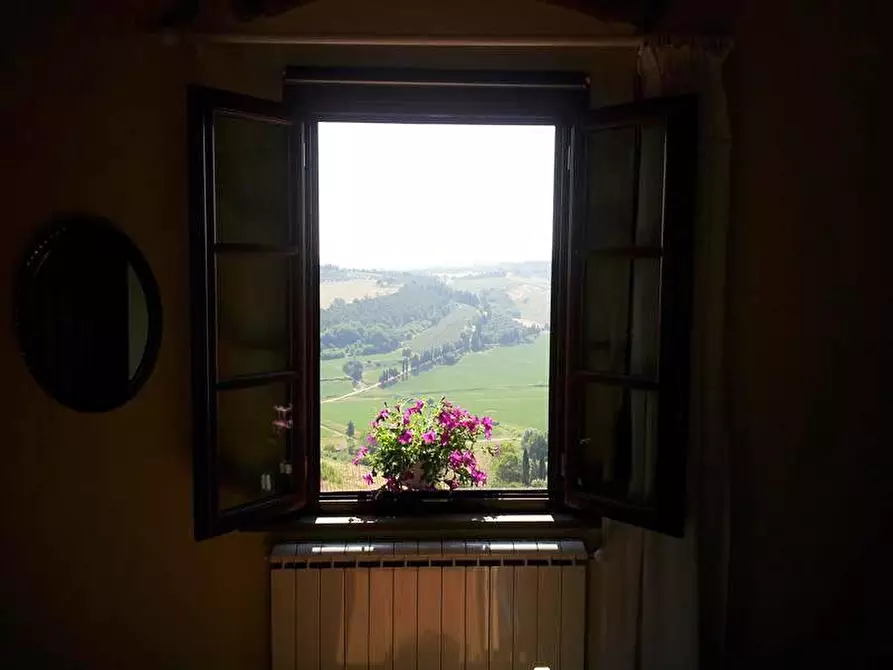 Immagine 37 di Appartamento in affitto  a Peccioli