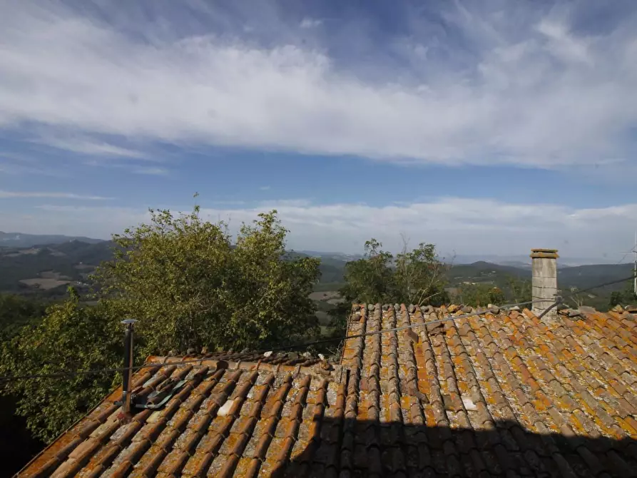 Immagine 21 di Appartamento in vendita  a Casole D'elsa