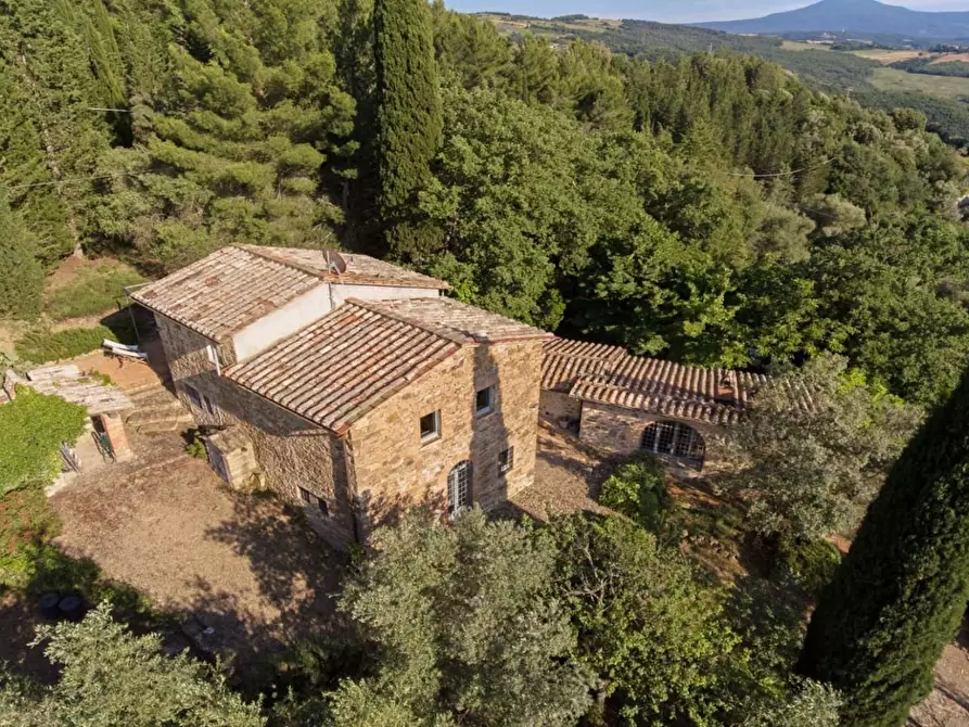 Immagine 2 di Casa colonica in vendita  a Castiglione D'orcia
