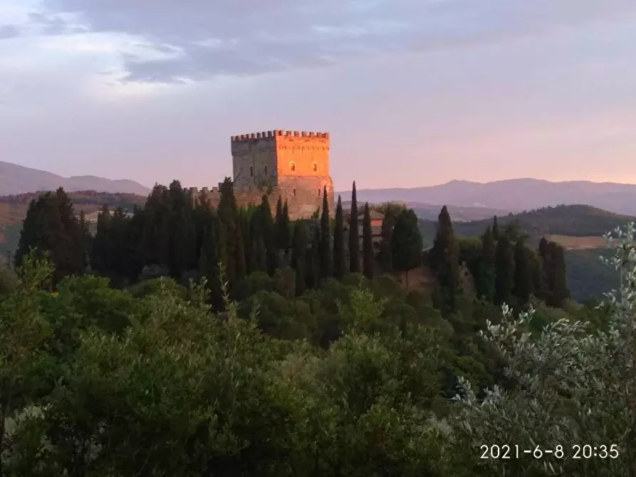Immagine 11 di Casa colonica in vendita  a Castiglione D'orcia