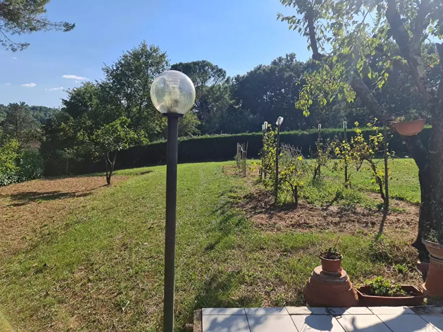 Immagine 6 di Bungalow in vendita  a Colle Di Val D'elsa