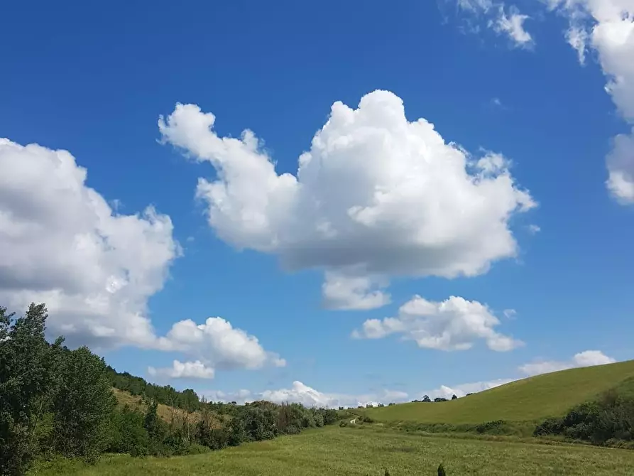 Immagine 28 di Deposito in vendita  a Castelfiorentino