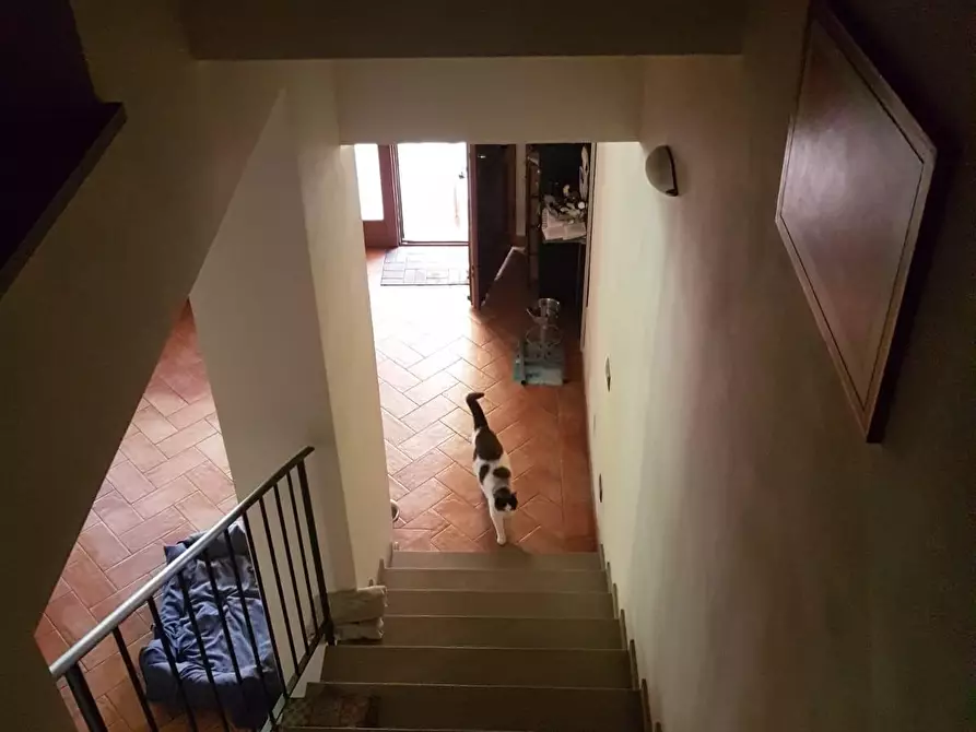 Immagine 25 di Deposito in vendita  a Castelfiorentino