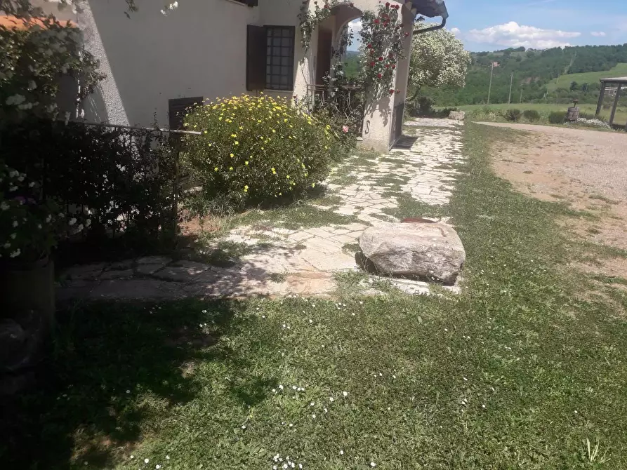 Immagine 8 di Casa colonica in vendita  a Manciano