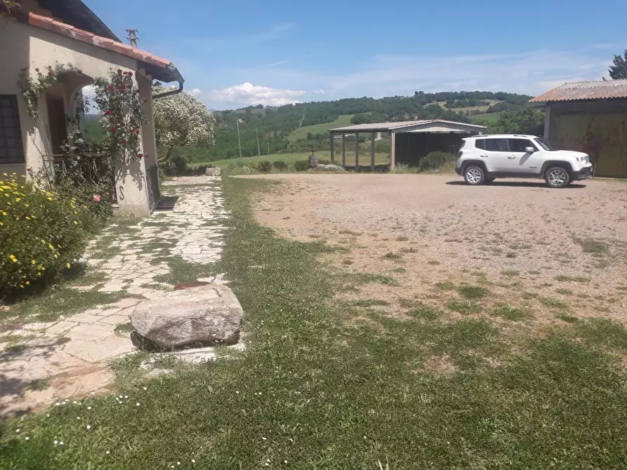 Immagine 7 di Casa colonica in vendita  a Manciano