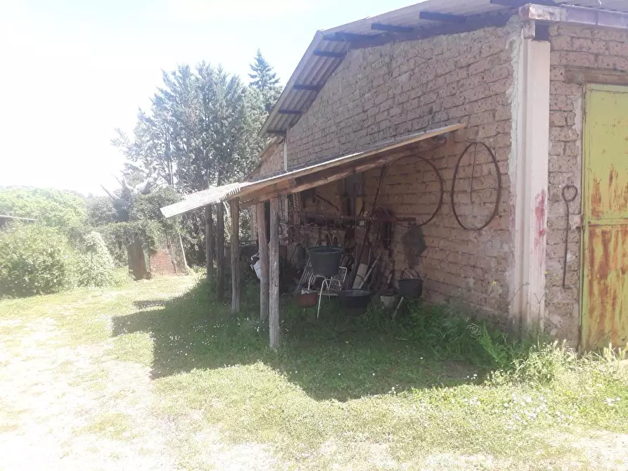 Immagine 4 di Casa colonica in vendita  a Manciano