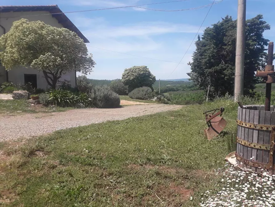 Immagine 3 di Casa colonica in vendita  a Manciano