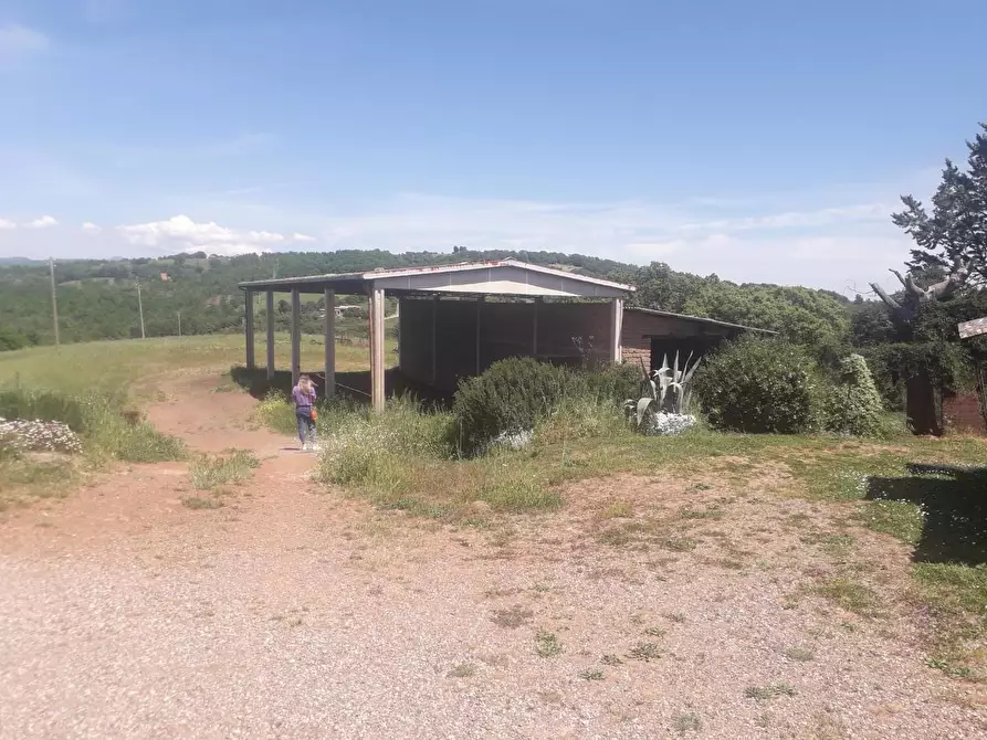 Immagine 6 di Casa colonica in vendita  a Manciano