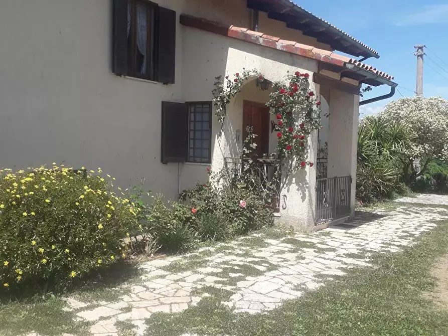 Immagine 1 di Casa colonica in vendita  a Manciano