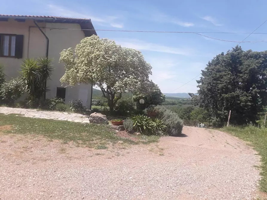 Immagine 1 di Casa colonica in vendita  a Manciano