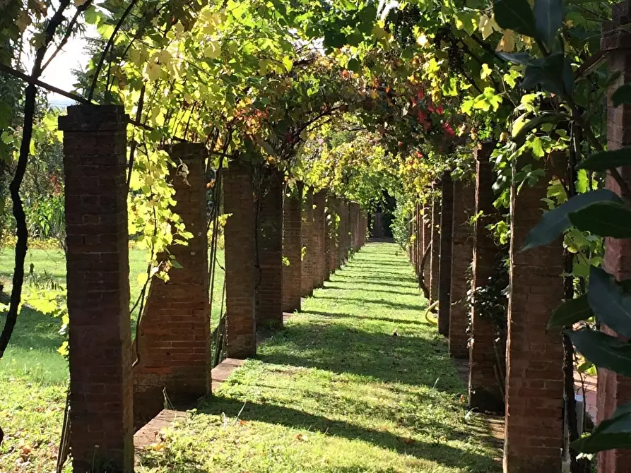 Immagine 7 di Villa in vendita  a Calci