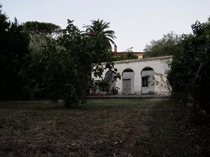 Immagine 11 di Villa in vendita  a Calci