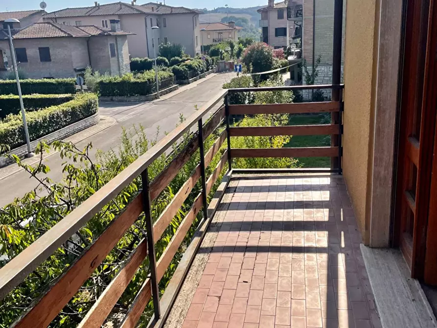 Immagine 23 di Terratetto in vendita  a Asciano