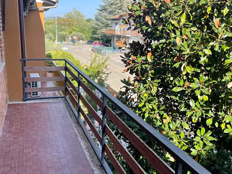 Immagine 27 di Terratetto in vendita  a Asciano