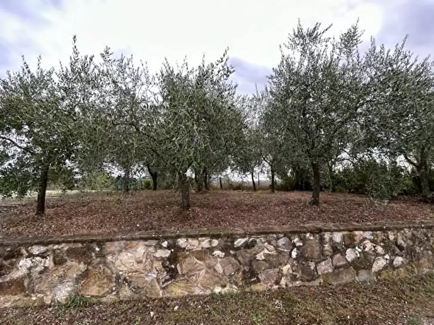 Immagine 16 di Appartamento in vendita  a Gaiole In Chianti