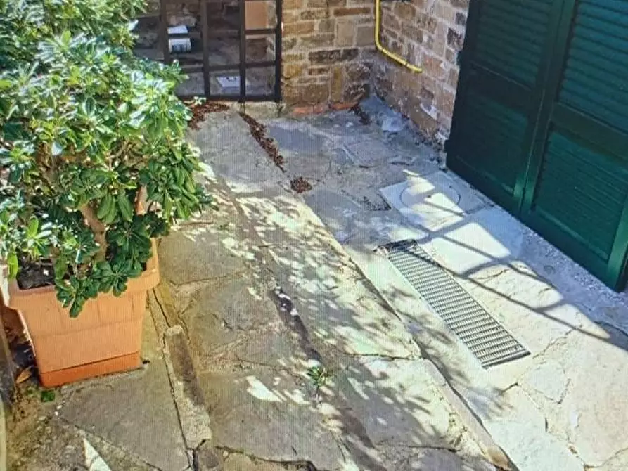 Immagine 11 di Appartamento in vendita  a Castiglione Della Pescaia