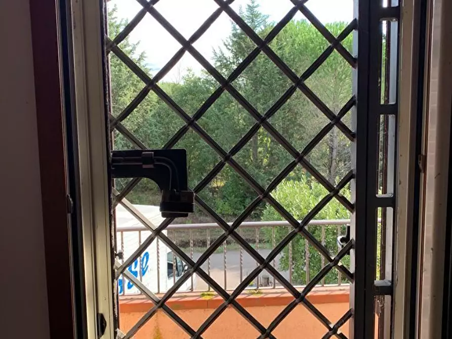 Immagine 45 di Casa bifamiliare in vendita  a Grosseto