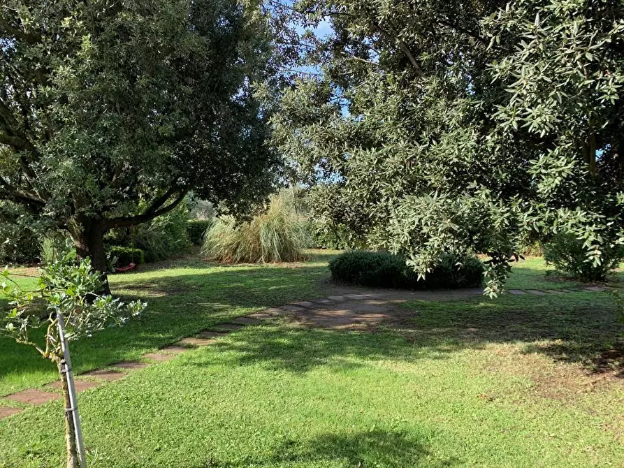 Immagine 5 di Casa bifamiliare in vendita  a Grosseto