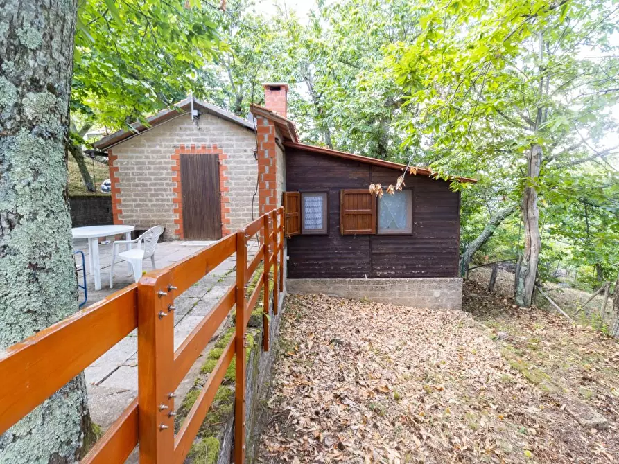Immagine 19 di Baita in vendita  a Castelnuovo Val Di Cecina