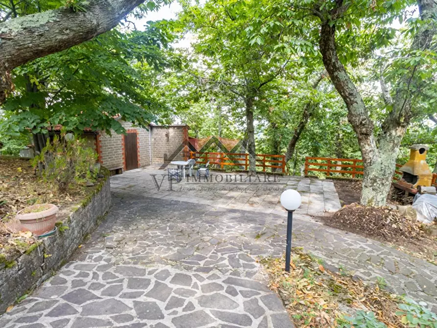 Immagine 15 di Baita in vendita  a Castelnuovo Val Di Cecina