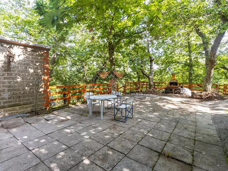 Immagine 16 di Baita in vendita  a Castelnuovo Val Di Cecina