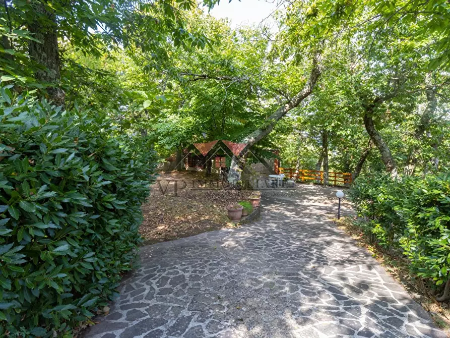 Immagine 14 di Baita in vendita  a Castelnuovo Val Di Cecina