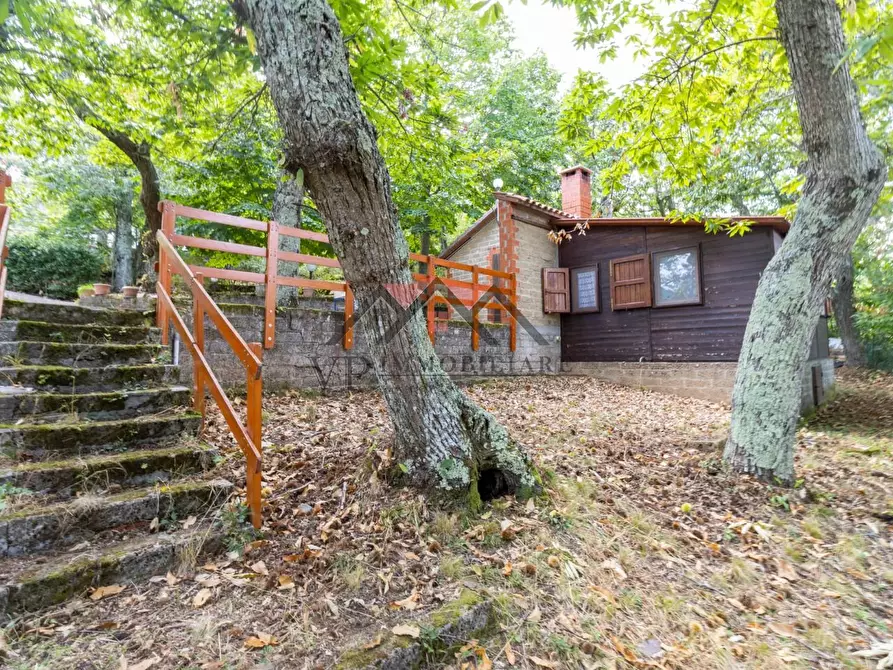 Immagine 17 di Baita in vendita  a Castelnuovo Val Di Cecina