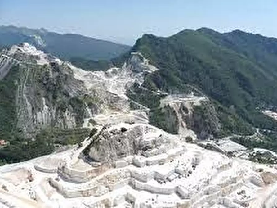 Immagine 18 di Ufficio in affitto  a Carrara