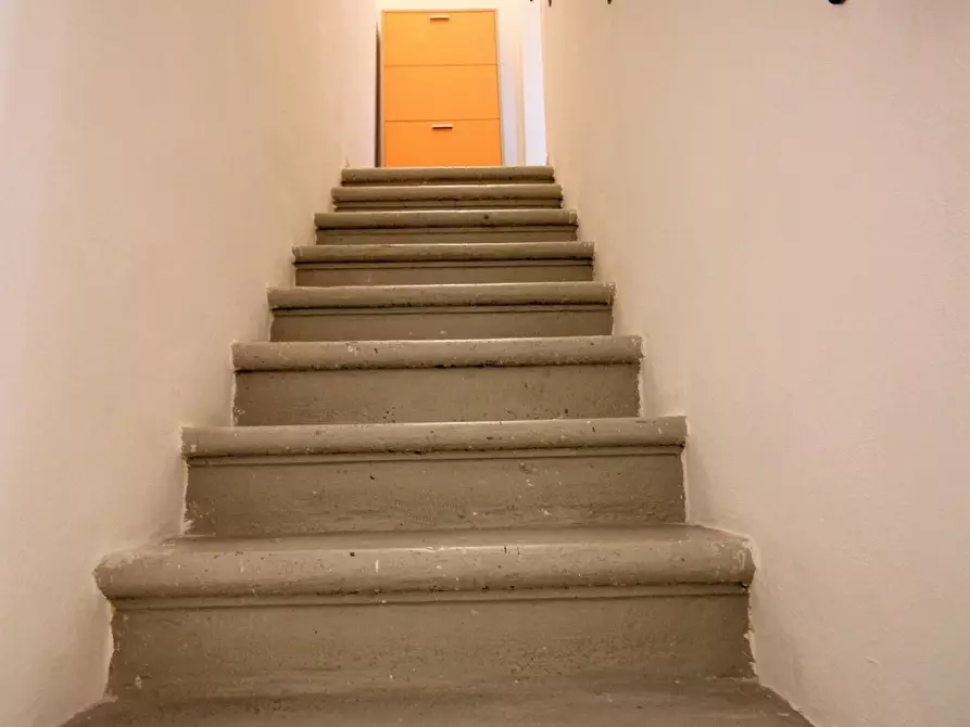 Immagine 9 di Terratetto in vendita  a San Giuliano Terme