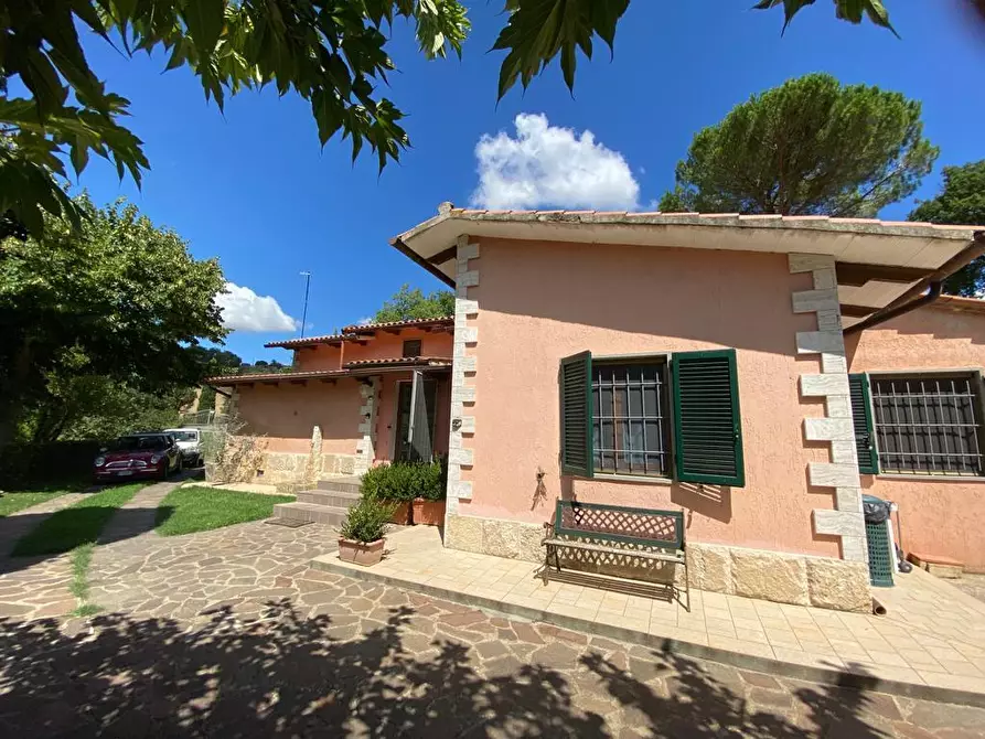 Immagine 3 di Villa in vendita  a Manciano