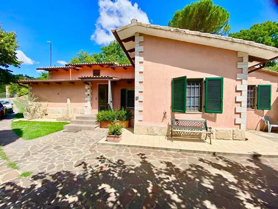 Immagine 4 di Villa in vendita  a Manciano