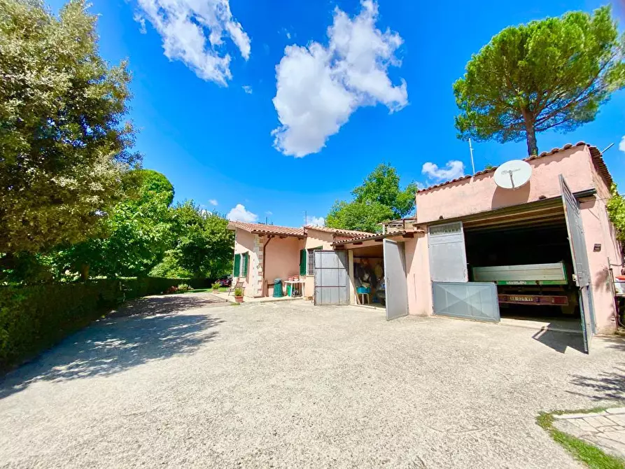 Immagine 7 di Villa in vendita  a Manciano