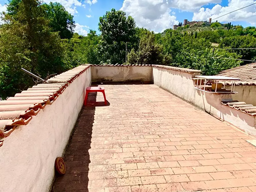 Immagine 6 di Villa in vendita  a Manciano