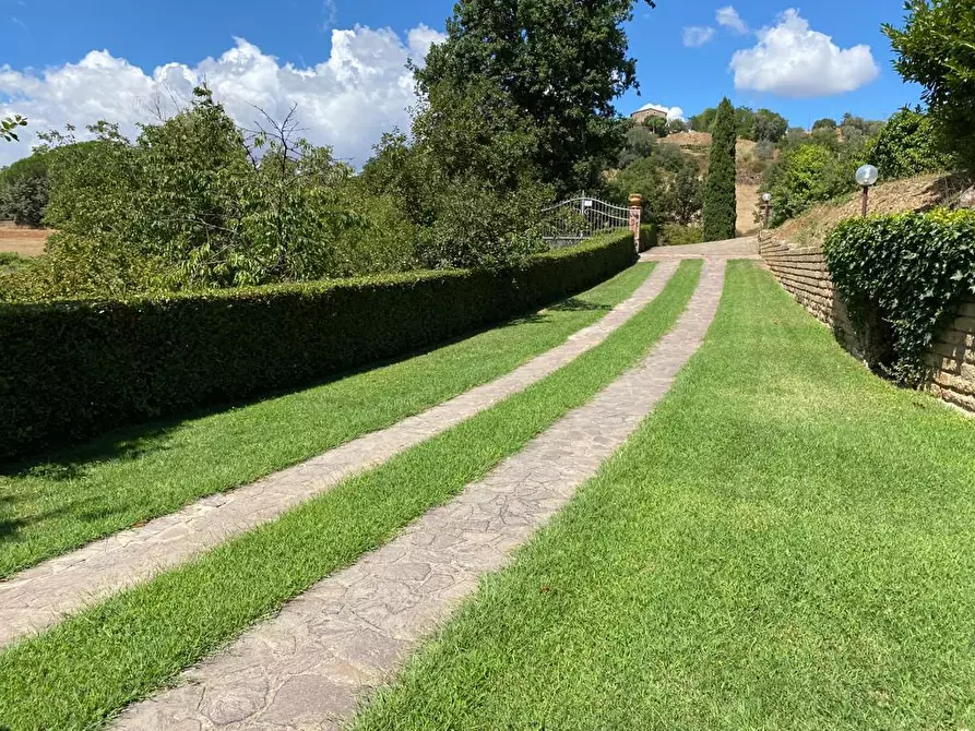 Immagine 5 di Villa in vendita  a Manciano