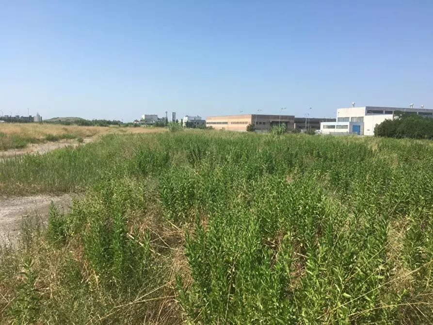 Immagine 3 di Terreno industriale in vendita  a Pisa