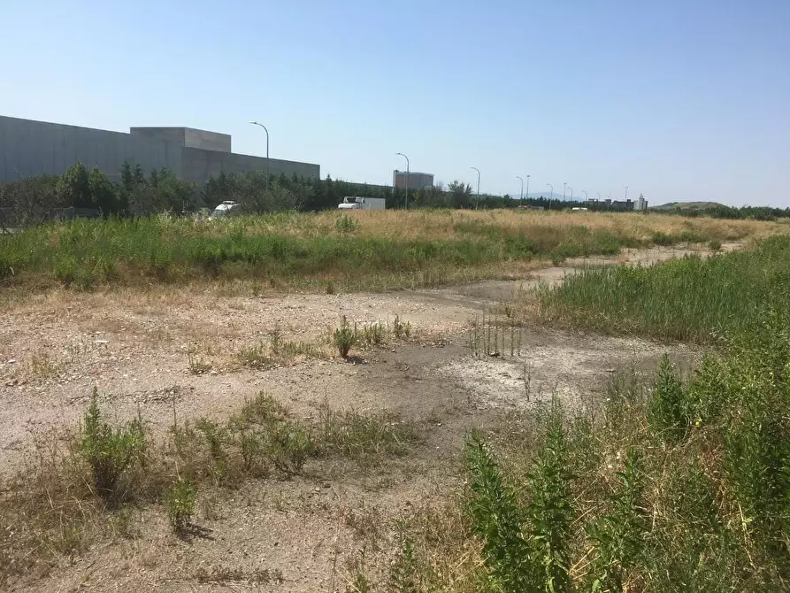 Immagine 4 di Terreno industriale in vendita  a Pisa