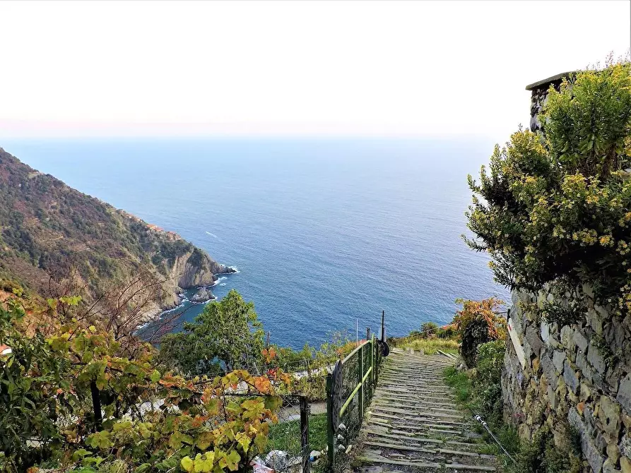 Immagine 1 di Casa colonica in vendita  a La Spezia