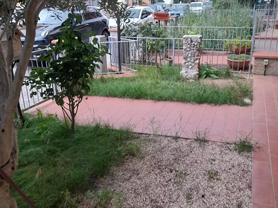 Immagine 18 di Appartamento in vendita  a Terricciola