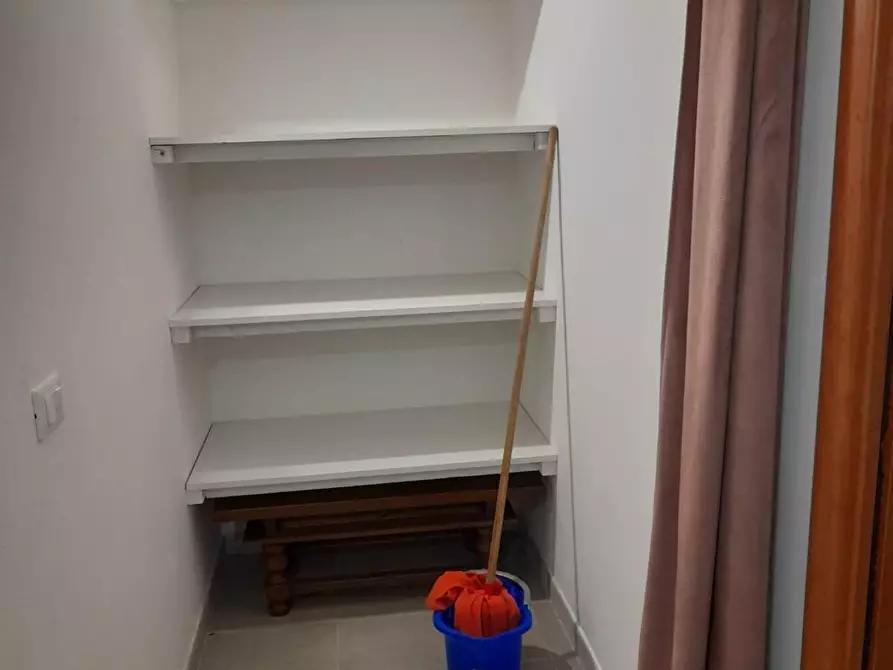 Immagine 5 di Appartamento in vendita  a Terricciola