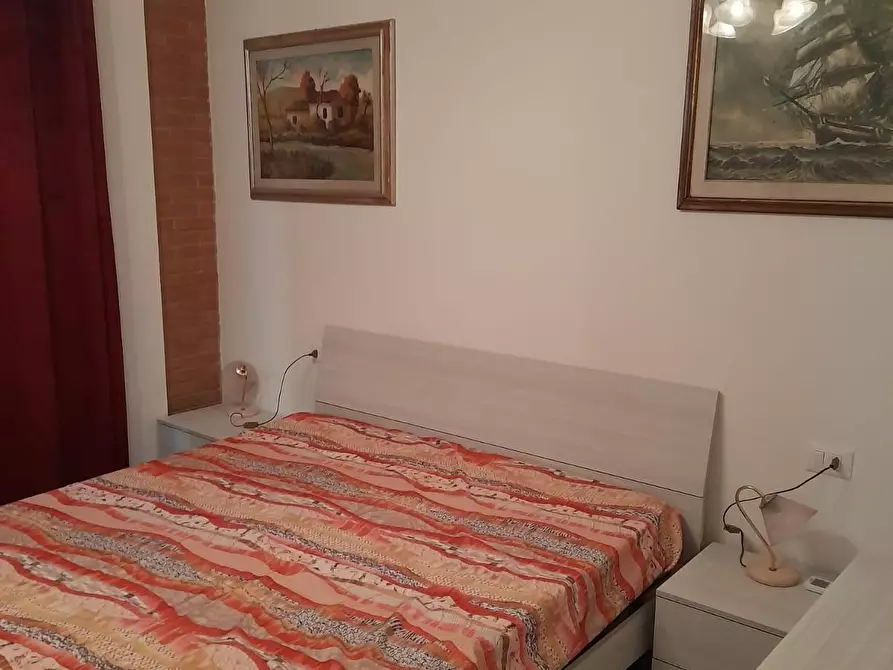 Immagine 13 di Appartamento in vendita  a Terricciola