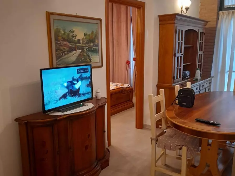 Immagine 3 di Appartamento in vendita  a Terricciola