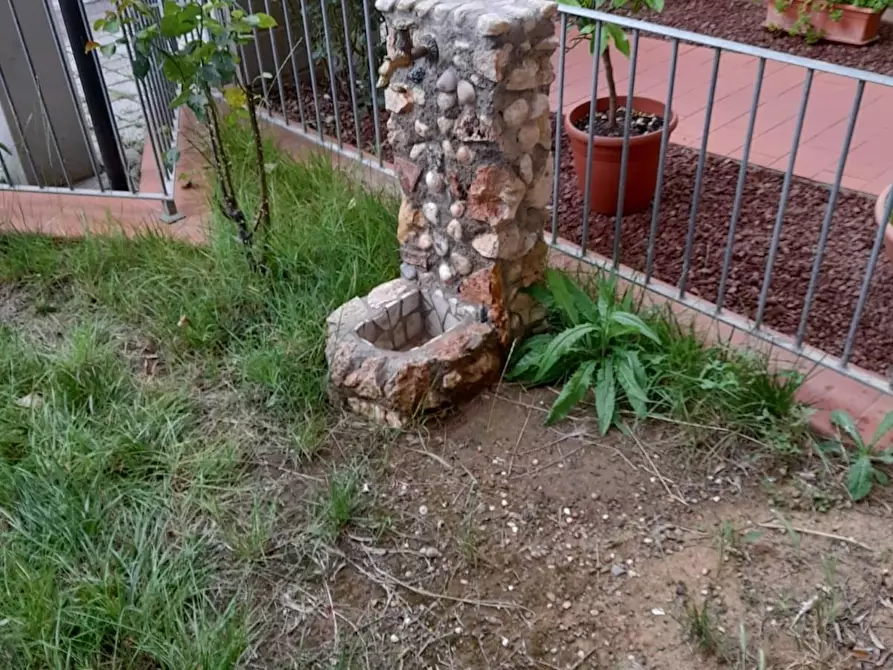 Immagine 16 di Appartamento in vendita  a Terricciola