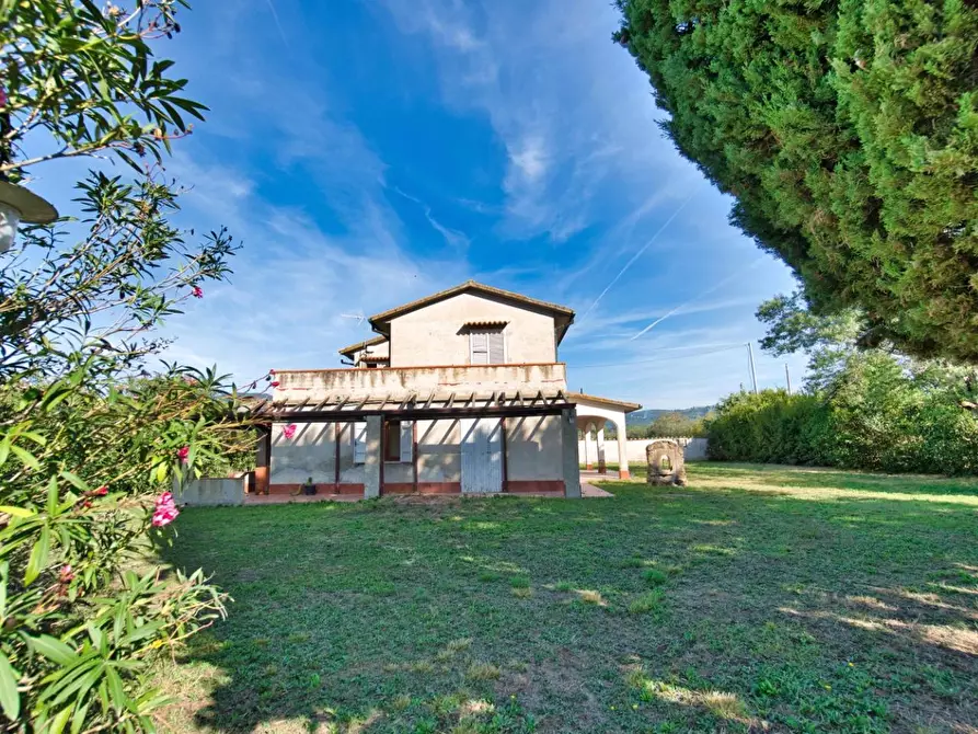 Immagine 9 di Casa colonica in vendita  a Suvereto