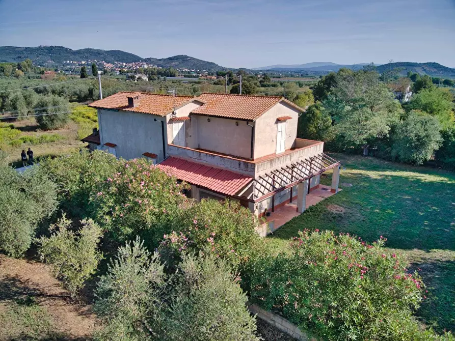 Immagine 1 di Casa colonica in vendita  a Suvereto