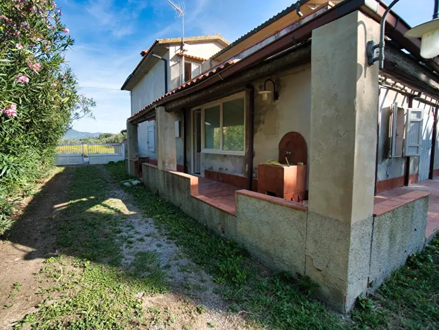 Immagine 49 di Casa colonica in vendita  a Suvereto