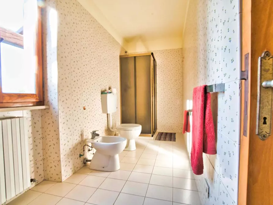 Immagine 18 di Casa colonica in vendita  a Suvereto