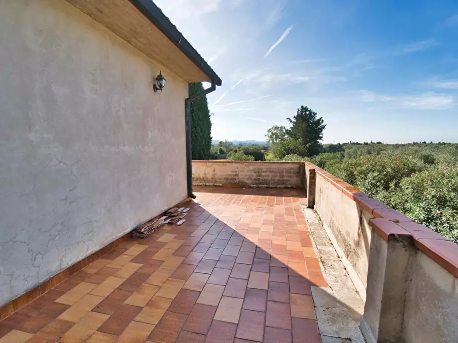 Immagine 31 di Casa colonica in vendita  a Suvereto